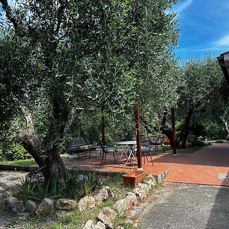 Oasi Del Monte Hotel Monte Argentario Eksteriør billede