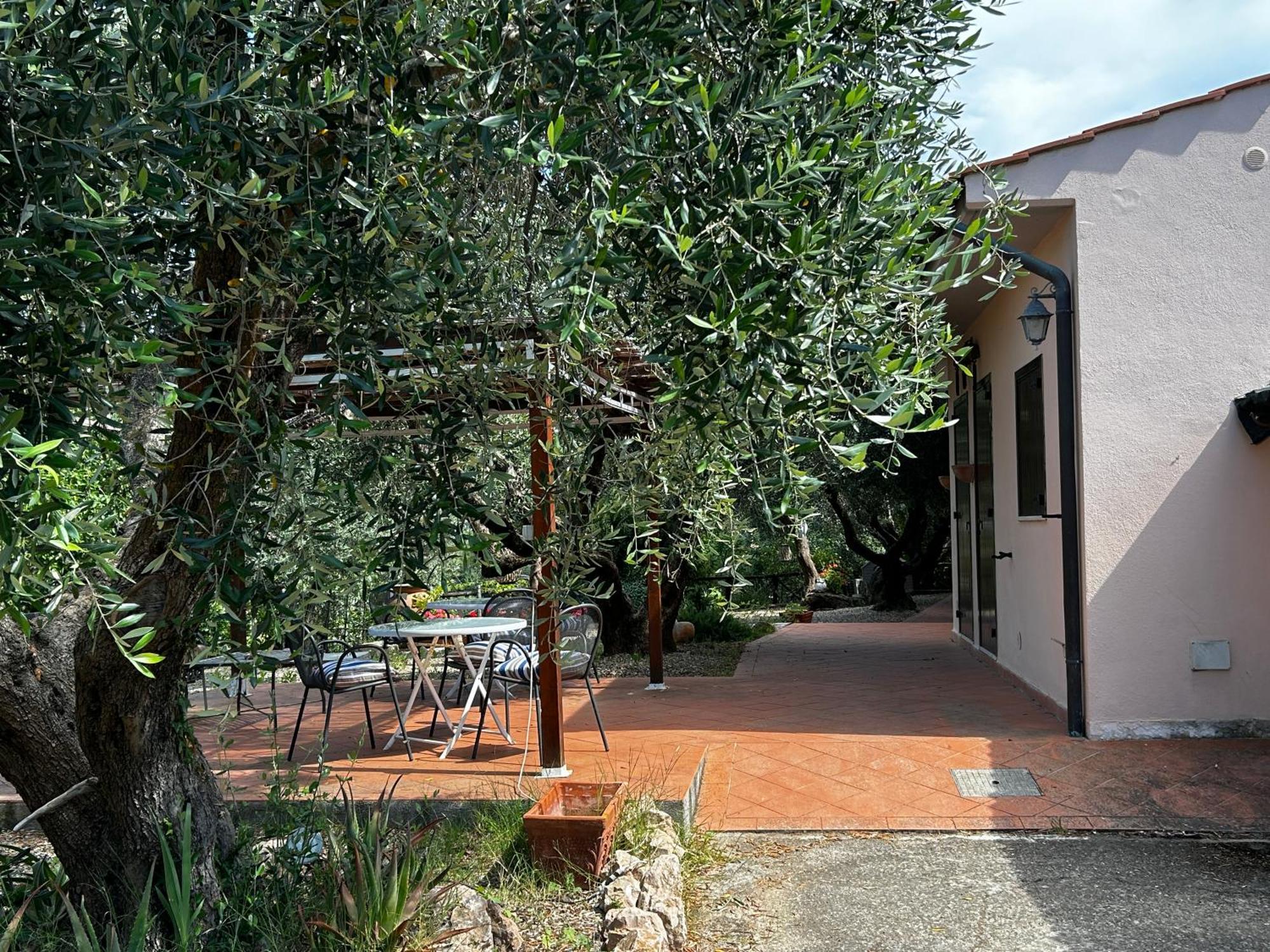 Oasi Del Monte Hotel Monte Argentario Eksteriør billede