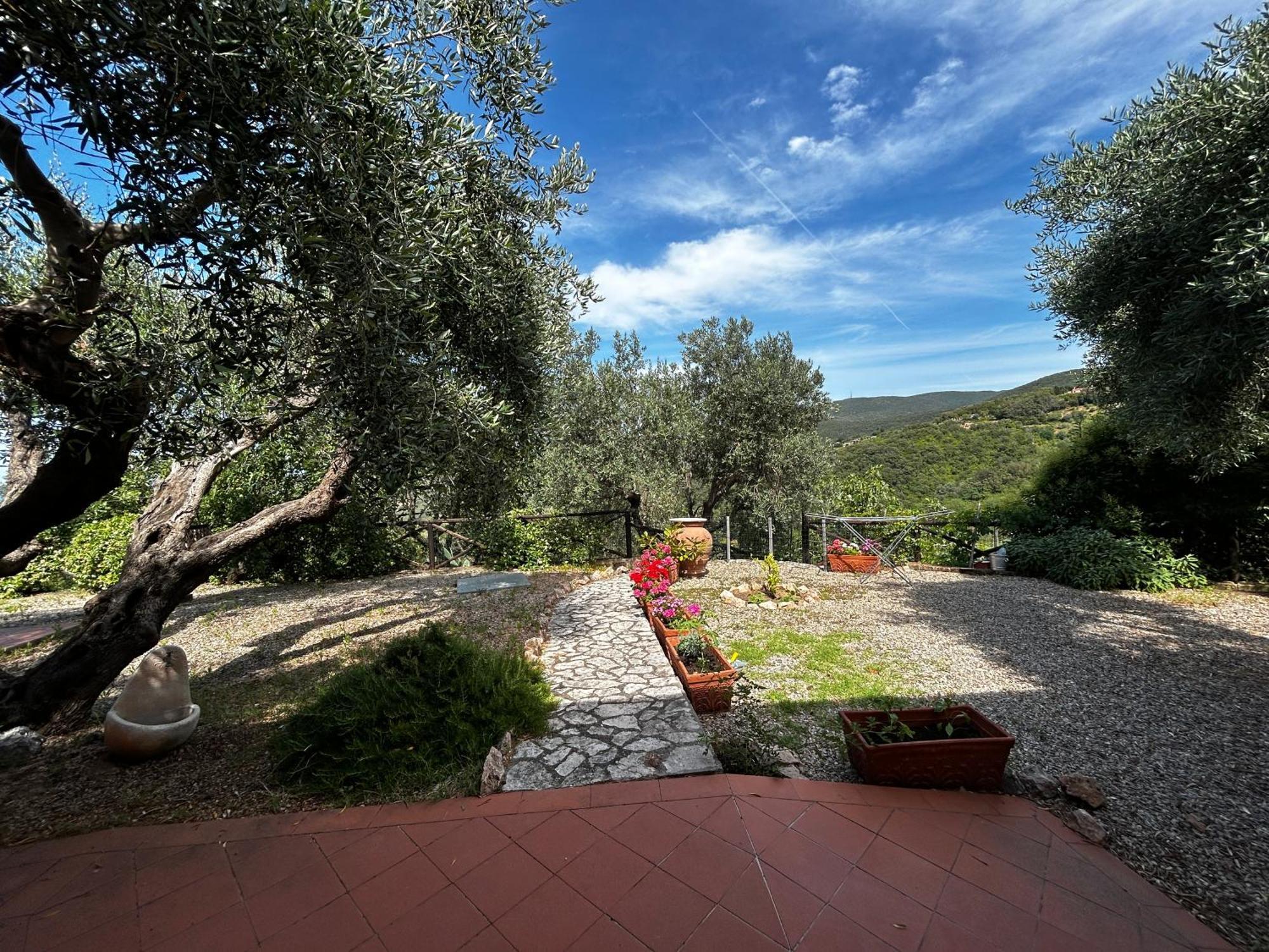 Oasi Del Monte Hotel Monte Argentario Eksteriør billede